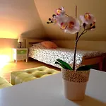 House Ivana, Zadar, * Vinjerac