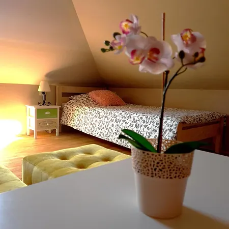 House Ivana, Zadar, * 빈예라크