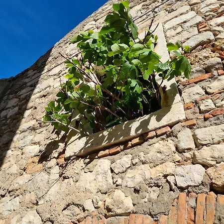 House Ivana, Zadar, * Виньерац